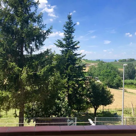 Le Di Cinzia Vinci